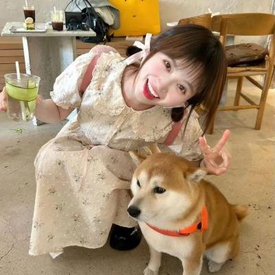 风流家族